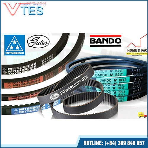 Synchronous Belts And Timing Belts